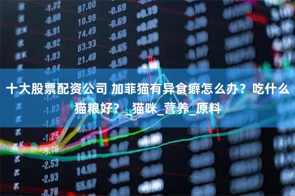 十大股票配资公司 加菲猫有异食癖怎么办？吃什么猫粮好？_猫咪_营养_原料